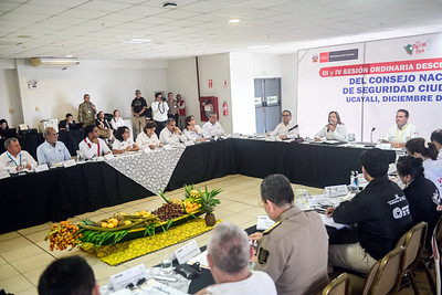 Políticas nacionales de seguridad ciudadana en el Perú