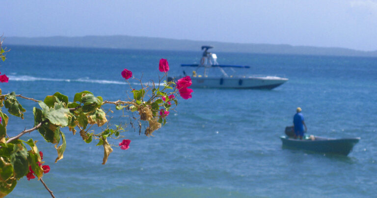 Curazao y Aruba han pasado a estar bajo una regulación especial debido a un acuerdo con USA